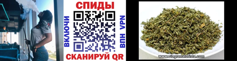 Купить закладки Гатчина БУТИРАТ BDO